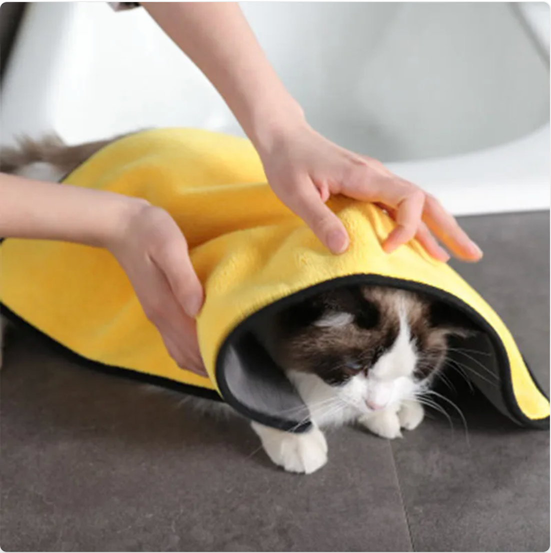 Pet Grooming and Care Products collection for dog and cat hygiene and grooming tools