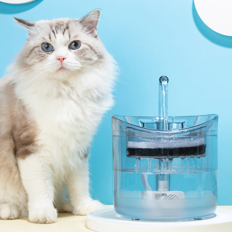 Transparent Smart Automatic Pet Water Dispenser continuous flow fountain