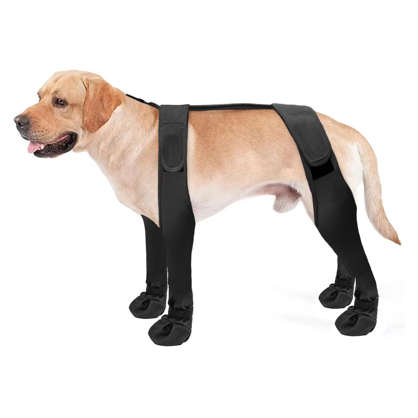 Waterproof Dog Boots for Paw Protection on dog paws