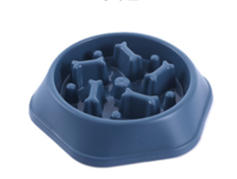 Slow Feeder Dog Bowl for Choke Prevention dog eating slowly