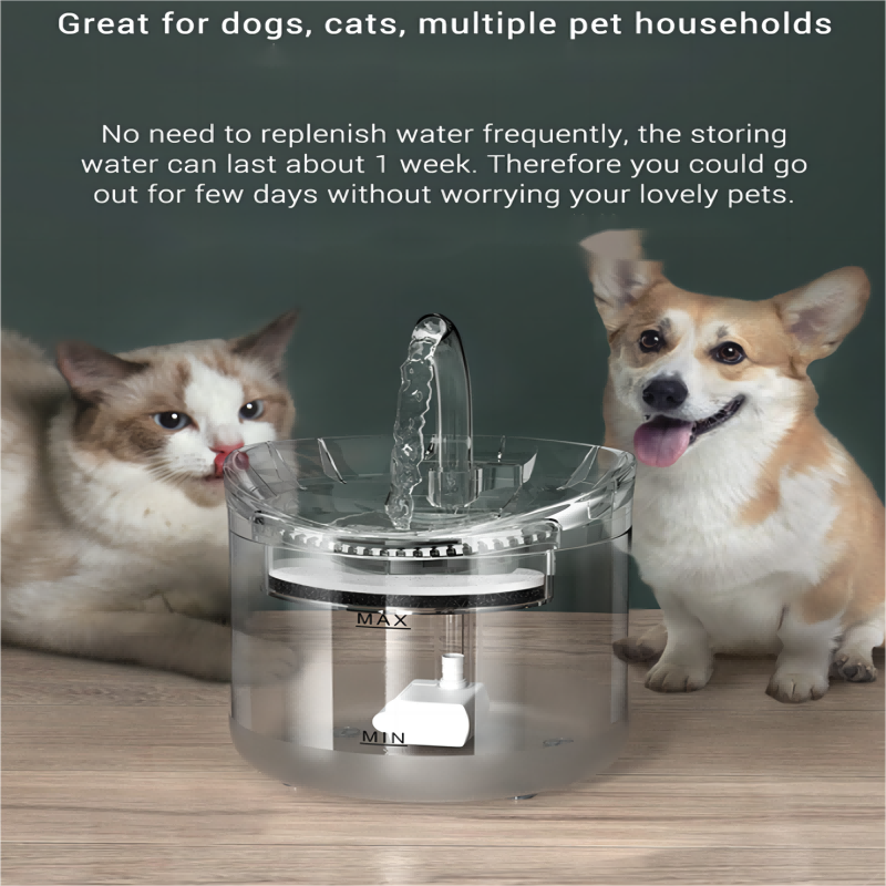 Transparent Smart Automatic Pet Water Dispenser filtered water system