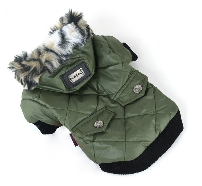Dog wearing Pet Winter Coat with warm fur collar outdoors